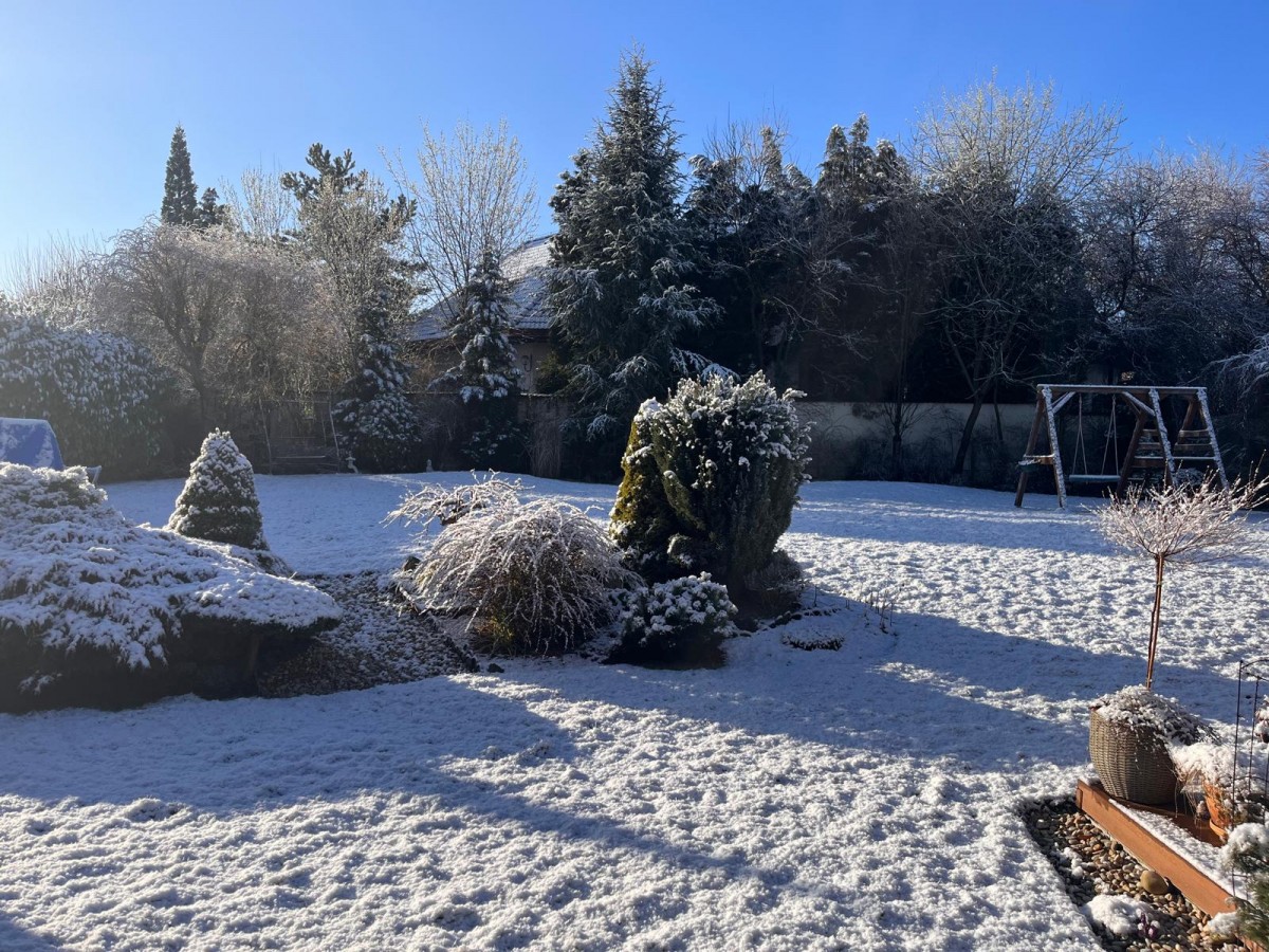 Bydlení Michal Nesvadba