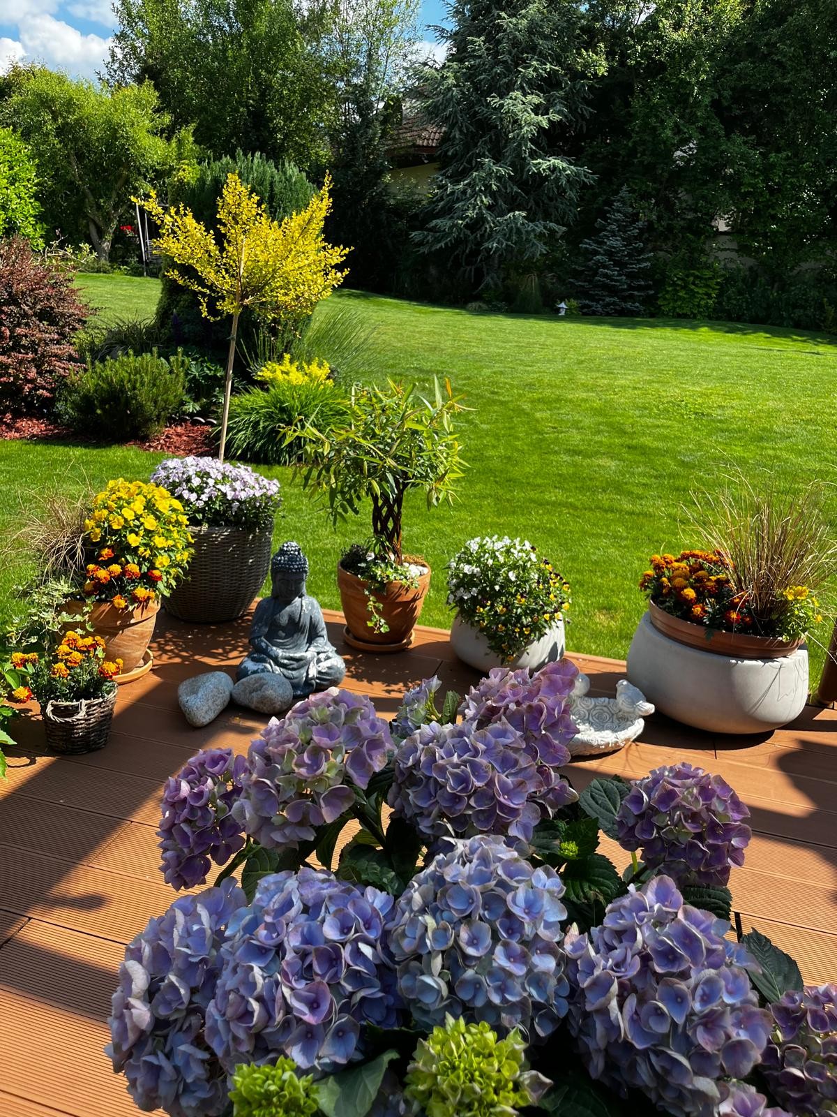 Bydlení Michal Nesvadba