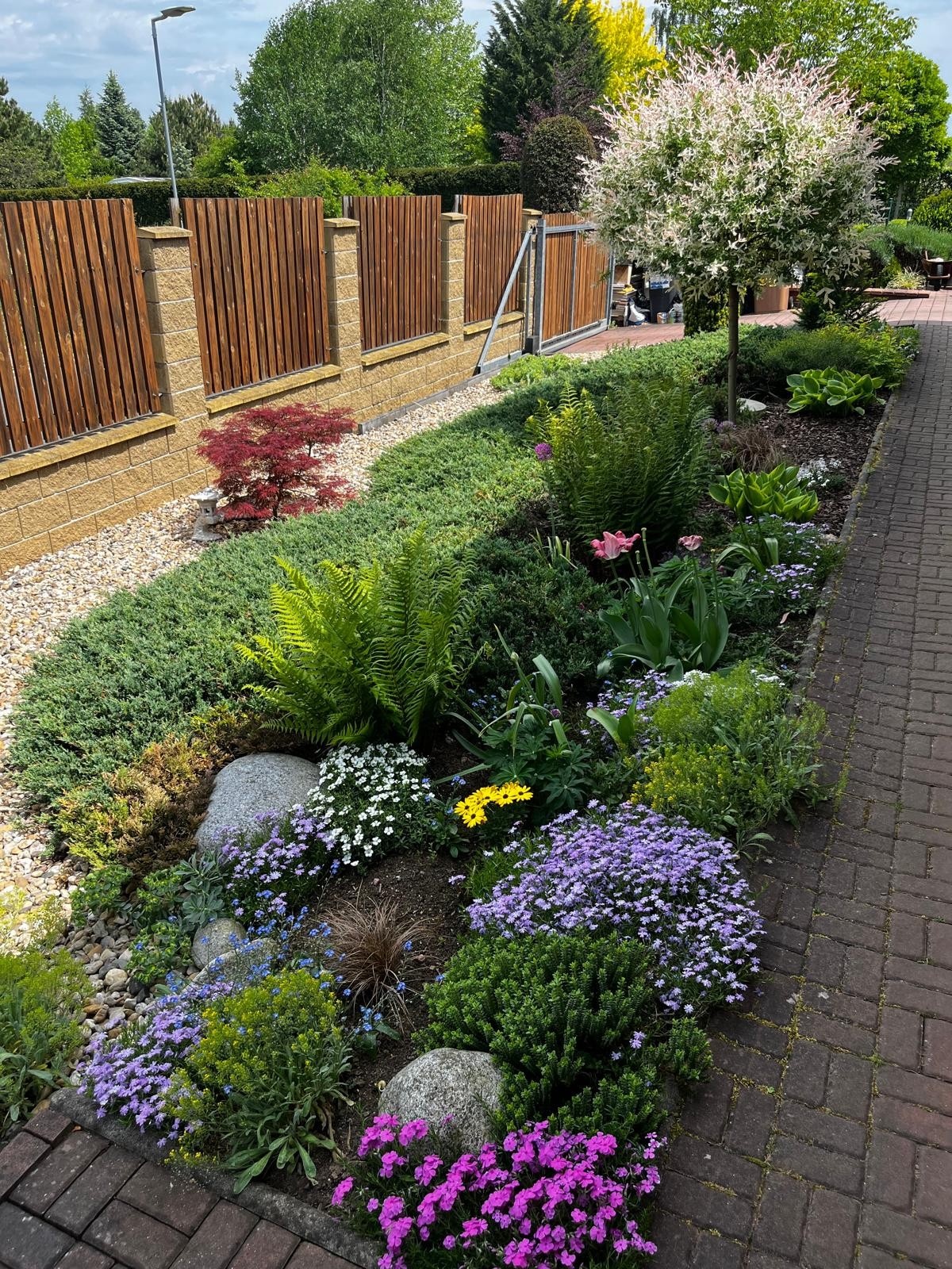 Bydlení Michal Nesvadba