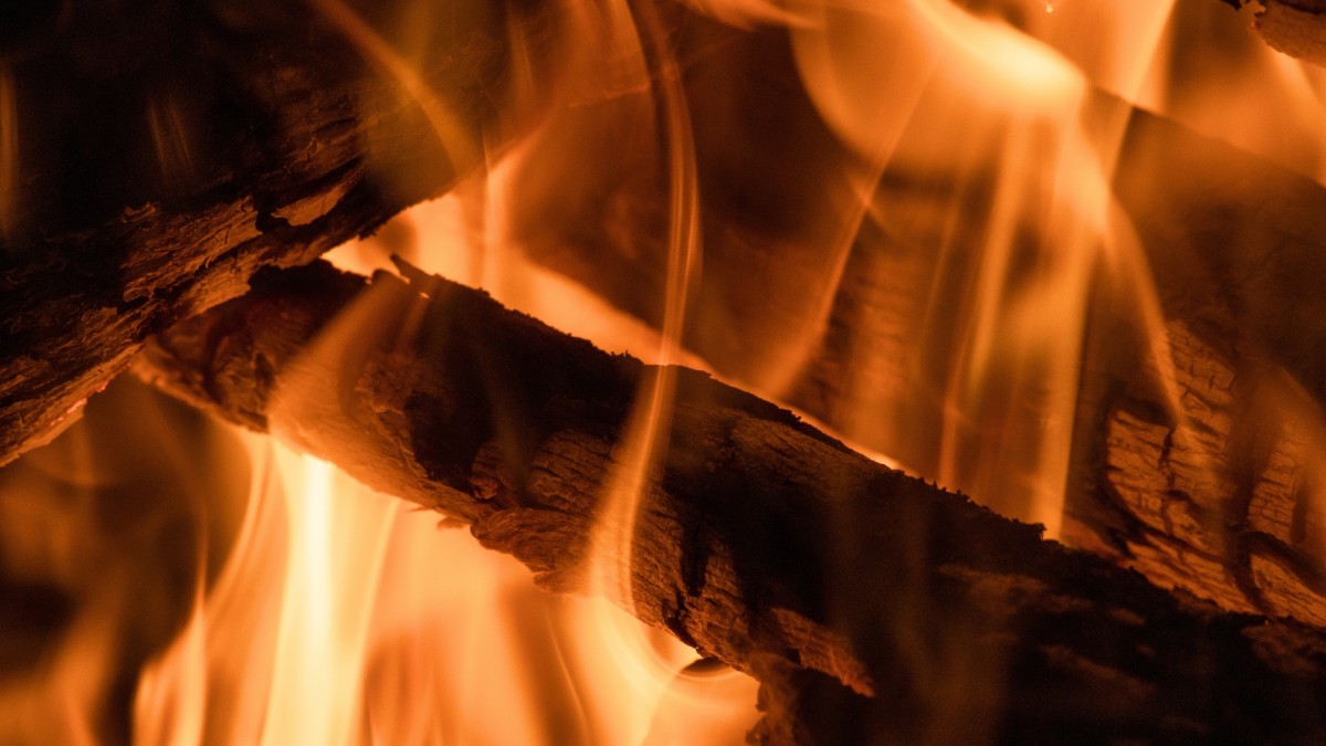 V Česku může každý topit dřevem zdarma, a to zcela legálně