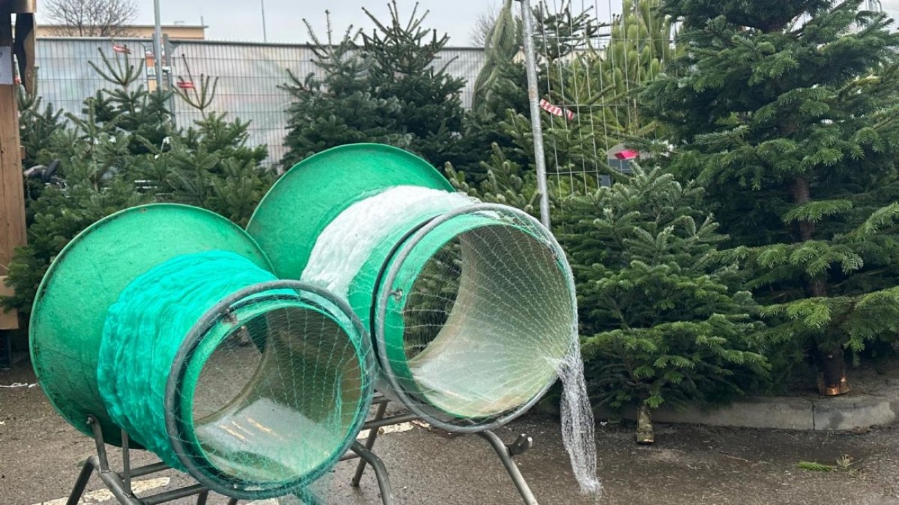 Vánoční stromeček levněji