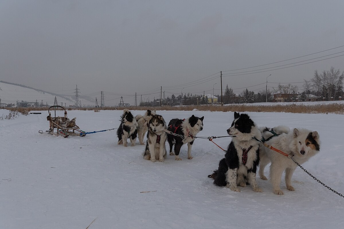 Mrazivé teploty Ojmjakon