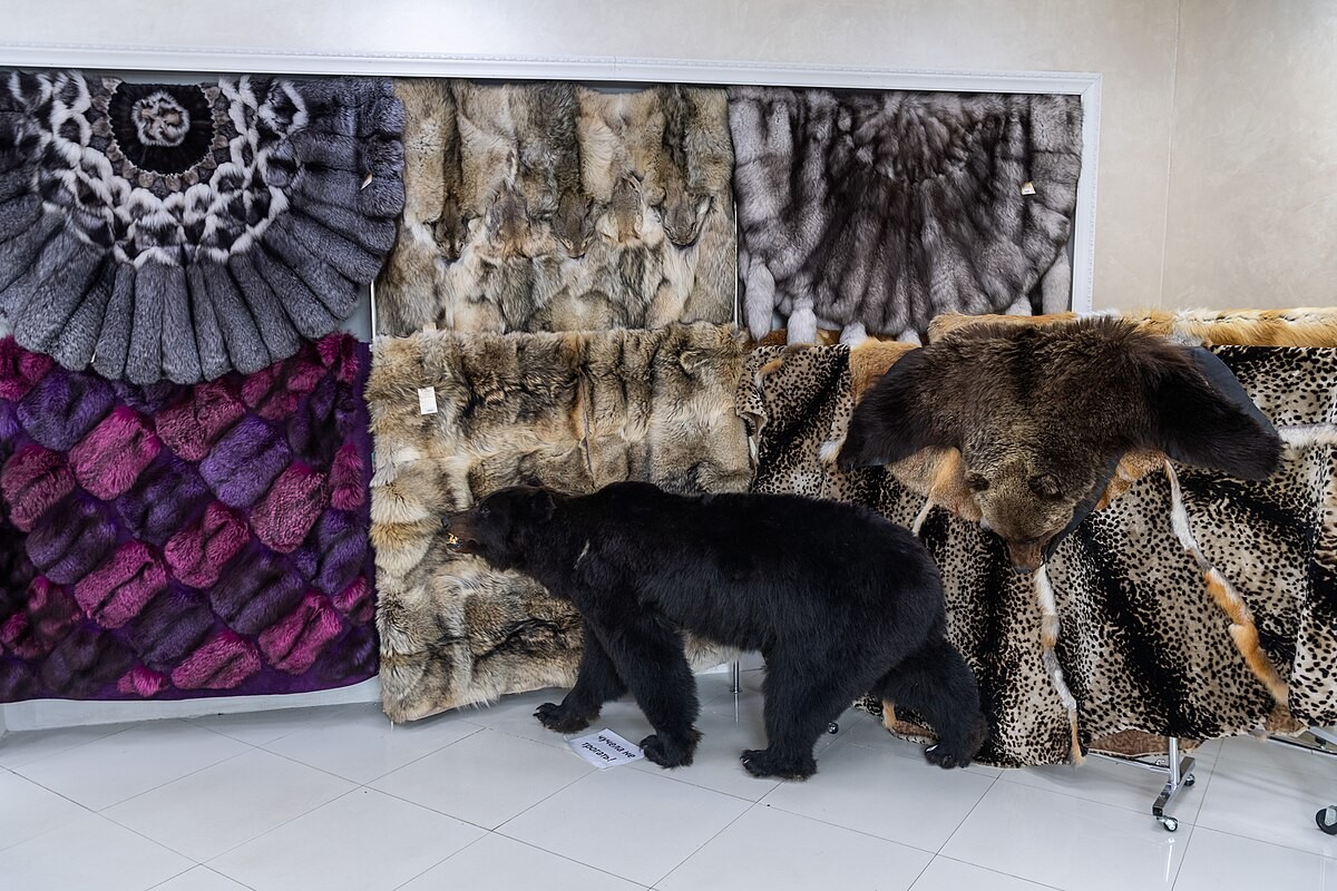 Mrazivé teploty Ojmjakon