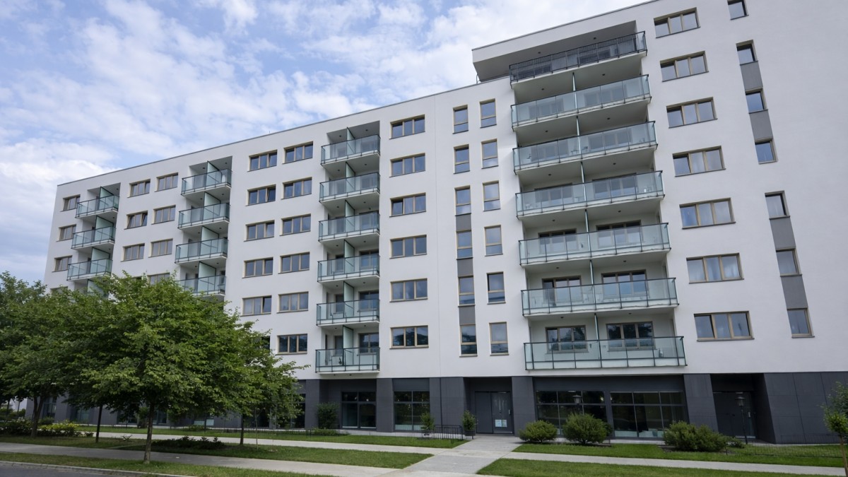 Taktika skryté aukce nutí lidi zaplatit víc, než chtějí 