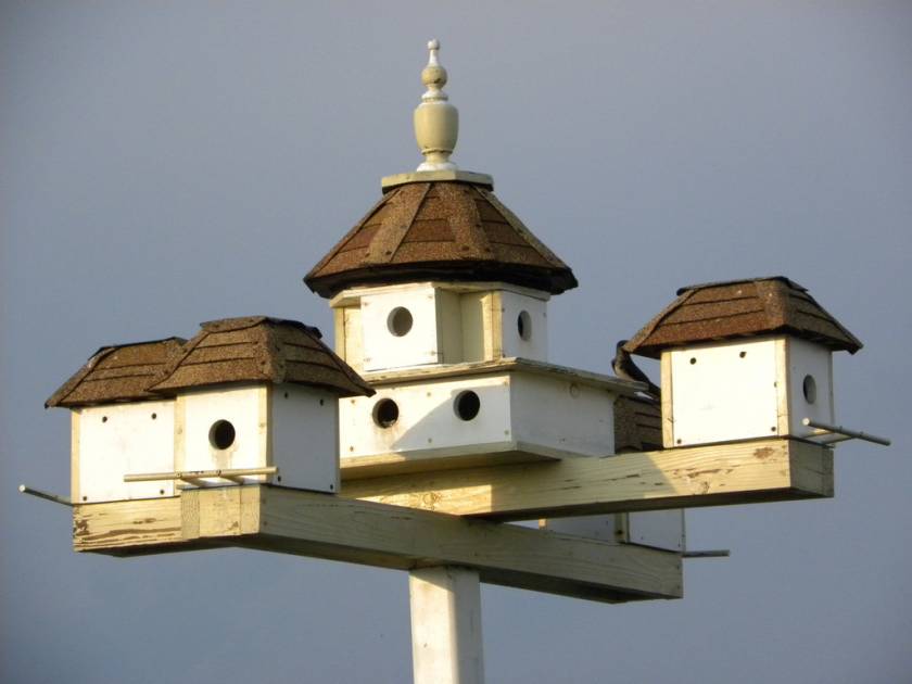 Ptačí budka
