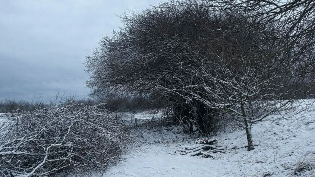 Legální způsob pálení větví