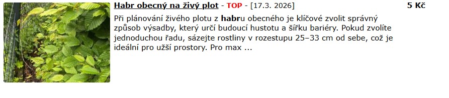 Levný živý plot