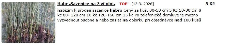 Levný živý plot