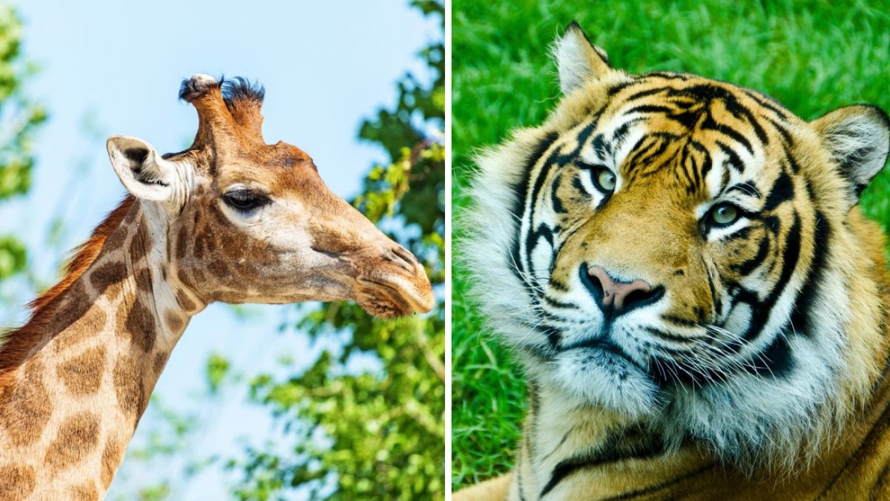 KVÍZ: Zvládnete přírodopis ze základky? Žáci válcují dospělé, ti mají problém