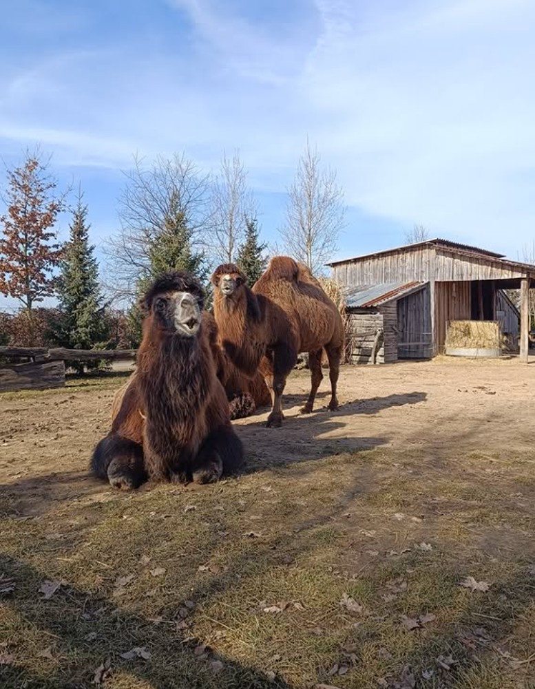 Přespání v zoo