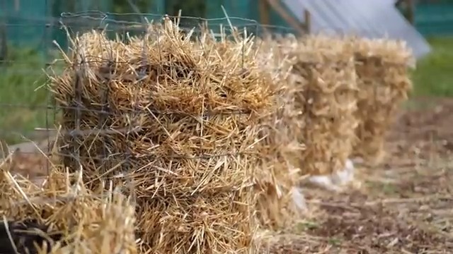 Nový život v kontejneru