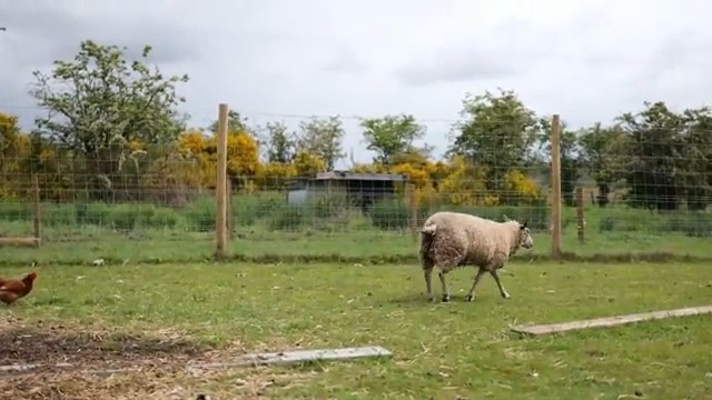 Nový život v kontejneru