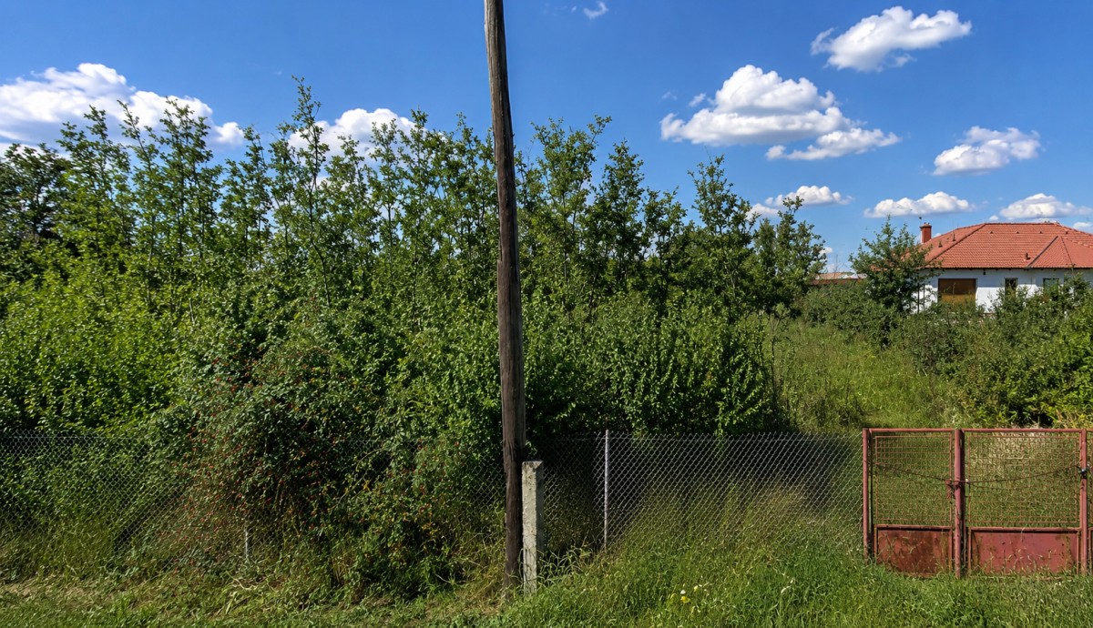 Vyvážení odpadu z chemického WC