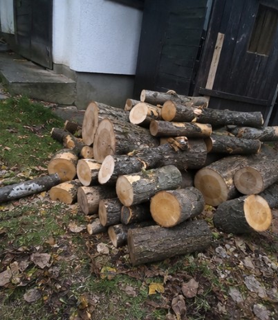 Pokuta za pokácený strom