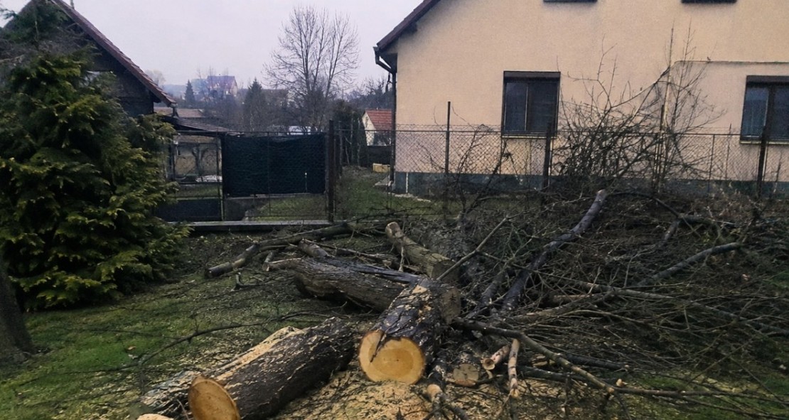 Pokuta za pokácený strom