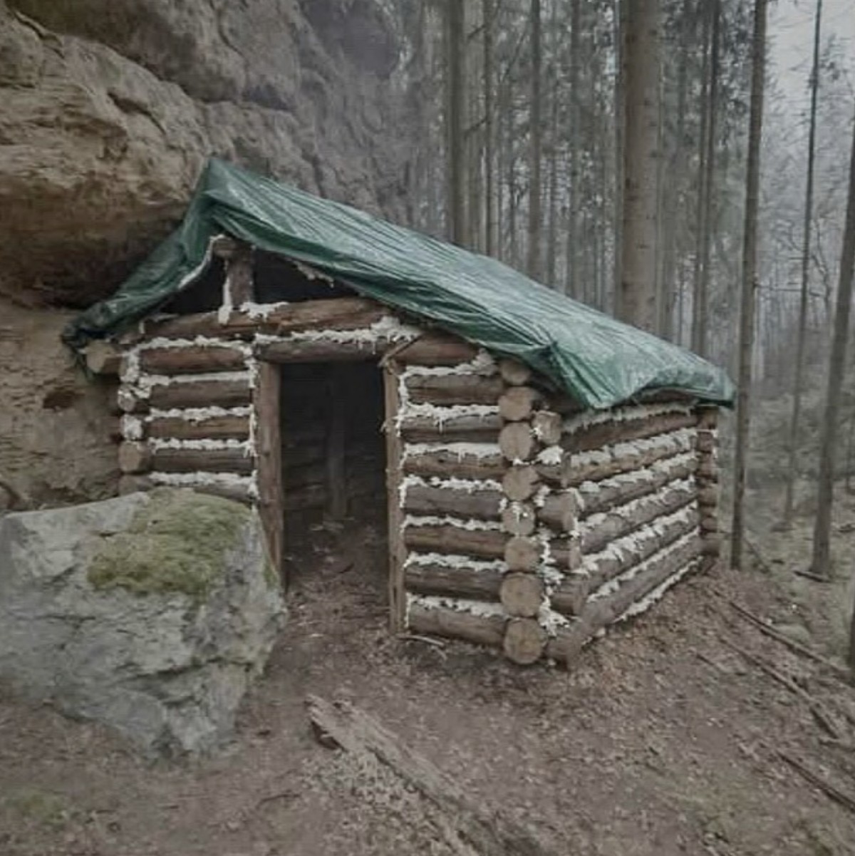 Češi se zase předvedli