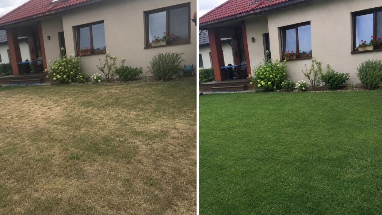 Topdressing obnoví trávník po letních vedrech. Zabere jen chvilku a stojí pár korun