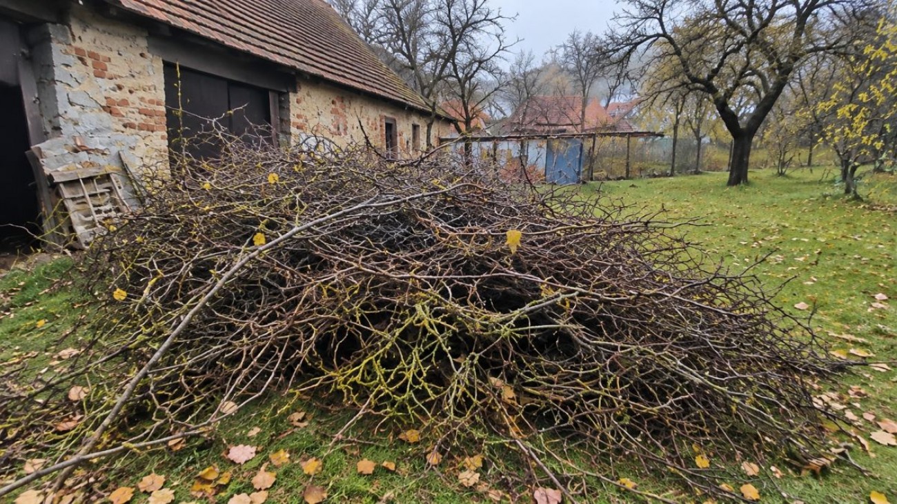 Zákaz pálení větví zkomplikoval Karlovi podzimní úklid. Soused mu poradil metodu Benjeshecke 